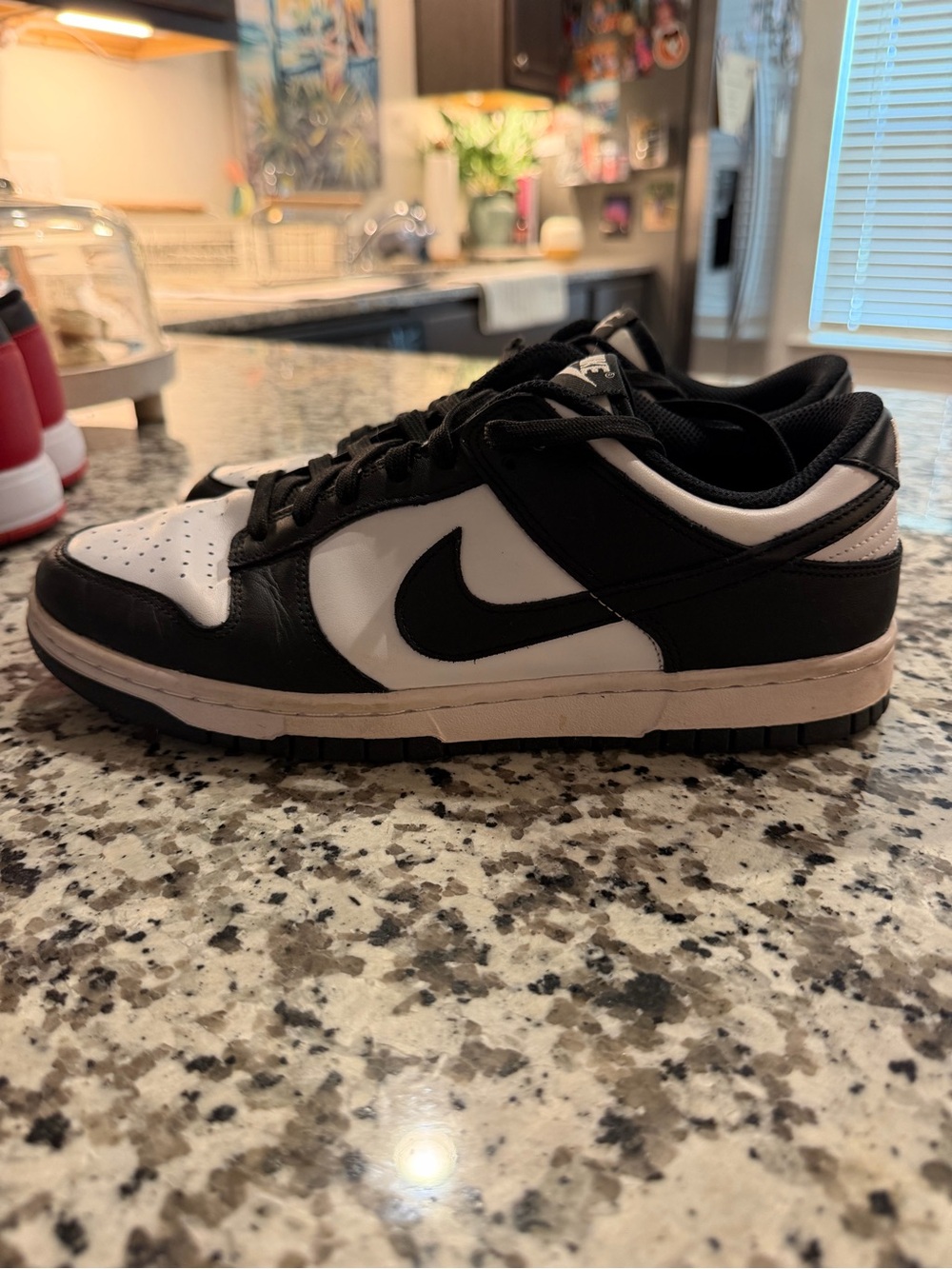 Nike Black and White Low-Top Sneakers